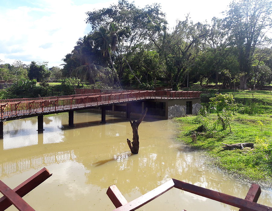 Construction of Crocodile Enclosure at Pinnawala Zoological Gardens